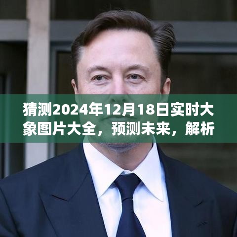 2024年12月18日大象圖片趨勢(shì)預(yù)測(cè)及影響解析