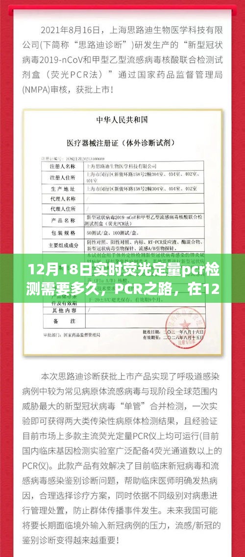 見證變化的力量與時(shí)間的魔法，實(shí)時(shí)熒光定量PCR檢測(cè)之路在12月18日的探索之旅