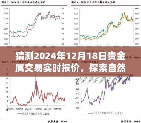 探索自然秘境與貴金屬交易的心靈之旅，預(yù)測貴金屬交易實(shí)時報價，揭秘未來貴金屬市場走勢（針對日期，2024年12月18日）