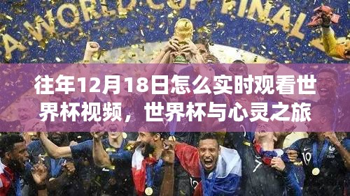 往年世界杯決賽日，擁抱自然美景，實(shí)時(shí)感受足球與心靈之旅的魅力
