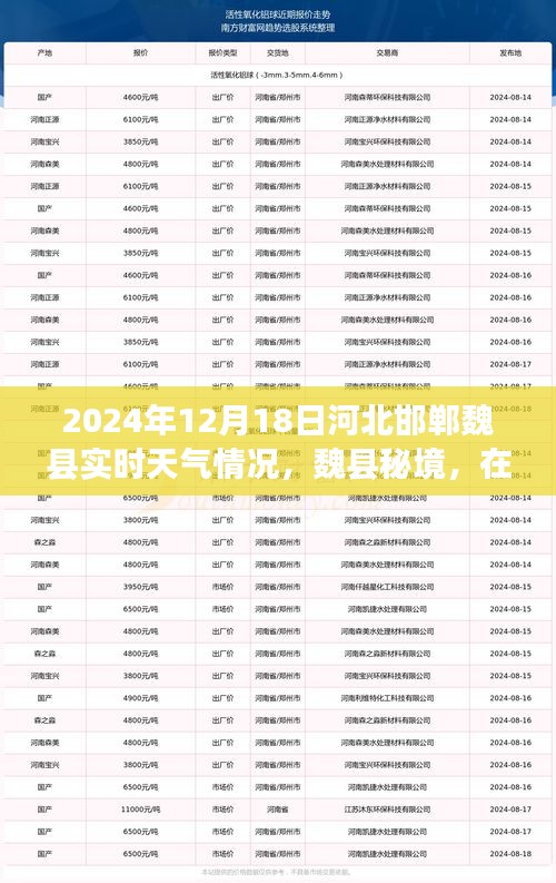 河北邯鄲魏縣秘境，探尋內(nèi)心寧?kù)o與自然魔法的冬日之旅