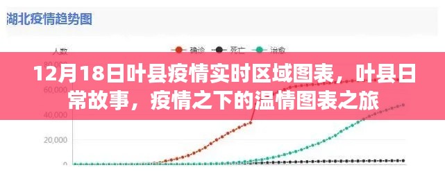 葉縣疫情實(shí)時(shí)區(qū)域圖表，疫情之下的溫情故事與圖表之旅