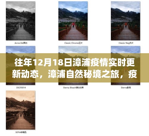 漳浦疫情實(shí)時(shí)更新與心靈凈化之旅，自然秘境探尋的別樣體驗(yàn)