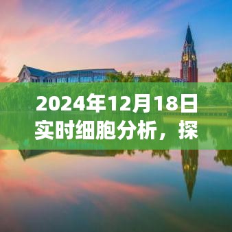 探秘科技秘境，實(shí)時(shí)細(xì)胞分析的奇妙之旅（2024年12月18日）
