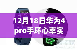 華為手環(huán)4 Pro全新上線，心率實(shí)時(shí)監(jiān)測(cè)功能深度解析與體驗(yàn)評(píng)測(cè)（附日期）