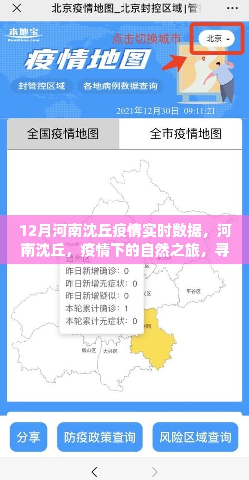 河南沈丘疫情實(shí)時(shí)數(shù)據(jù)與疫情下的自然之旅，尋找內(nèi)心寧?kù)o與力量