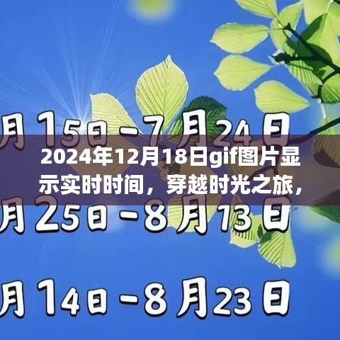 GIF圖片展示實(shí)時(shí)時(shí)光之旅，穿越自然美景，啟程尋找內(nèi)心寧靜的旅程