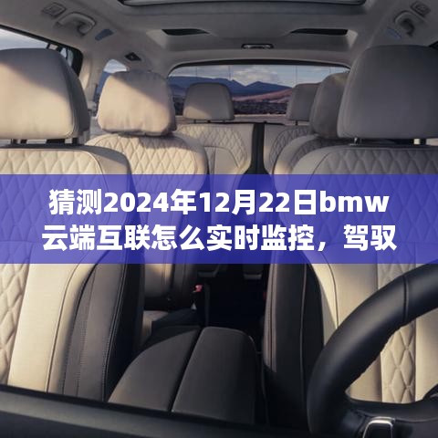 BMW云端互聯(lián)進化之路，實時監(jiān)控車輛狀態(tài)，駕馭未來的成長之旅（預(yù)測至2024年12月）
