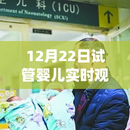 冬日暖陽下的生命奇跡，試管嬰兒實(shí)時觀察與愛的傳遞