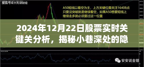 揭秘特色小店股票實(shí)時(shí)關(guān)鍵分析，2024年12月22日股市洞察與實(shí)時(shí)股票分析