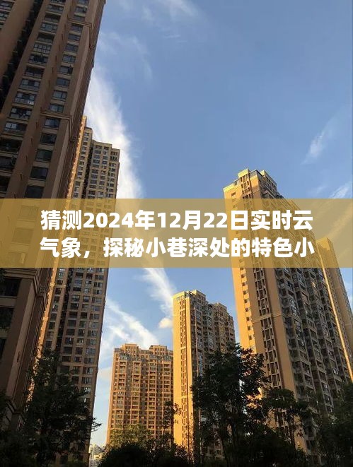 探秘小巷特色小店，揭秘2024年實(shí)時(shí)云氣象下的驚喜邂逅與氣象預(yù)測探索