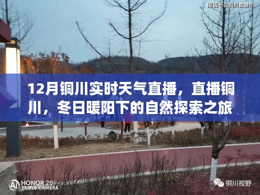 銅川實(shí)時(shí)天氣直播，冬日暖陽下的自然探索之旅