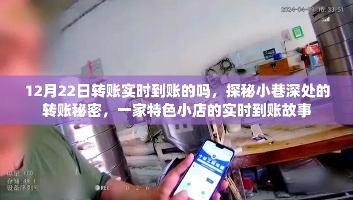 探秘小巷深處的轉(zhuǎn)賬秘密，一家特色小店的實(shí)時(shí)到賬經(jīng)歷