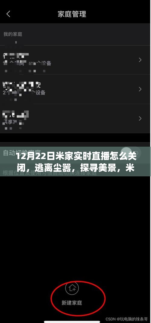 實(shí)用指南，如何在12月22日輕松關(guān)閉米家實(shí)時(shí)直播功能，啟程心靈之旅，逃離塵囂探尋美景