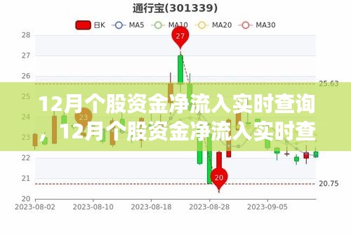 12月個(gè)股資金凈流入實(shí)時(shí)查詢產(chǎn)品全面評(píng)測與介紹