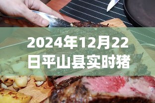 平山縣特色豬肉店，探秘小巷深處的豬肉新鮮故事與實時價格（2024年12月22日）