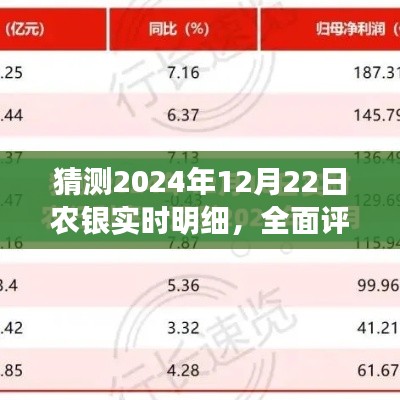2024年農(nóng)銀實(shí)時(shí)明細(xì)產(chǎn)品評(píng)測(cè)，特性、體驗(yàn)與目標(biāo)用戶分析