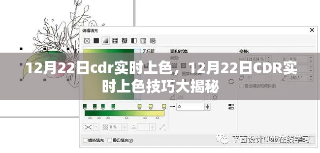 揭秘，CDR實時上色技巧大解密（12月22日專享）