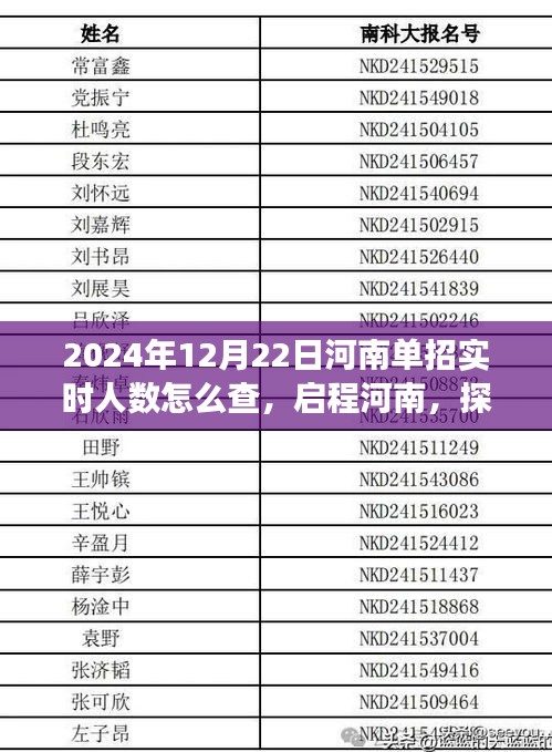 河南單招實(shí)時(shí)人數(shù)探尋之旅，啟程探尋背后的自然秘境與心靈之旅（2024年12月22日）