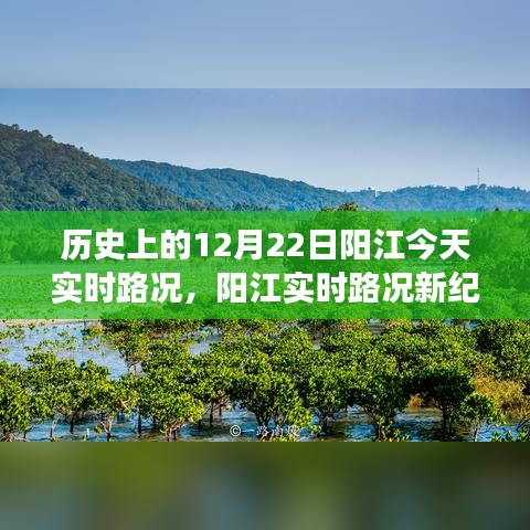 智能導(dǎo)航重塑交通體驗，歷史上的今天陽江實時路況回顧與未來展望