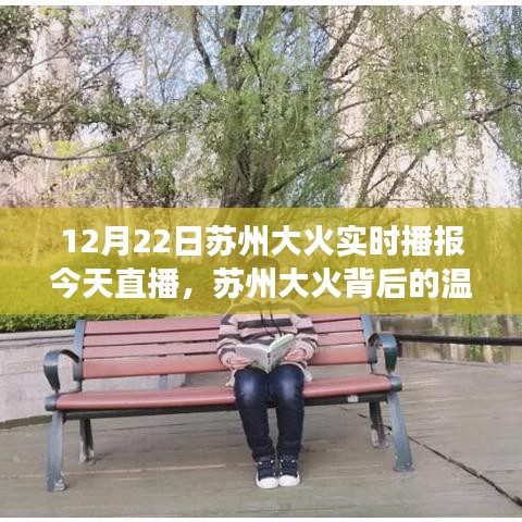 蘇州大火背后的溫暖日常，直播中的友情與陪伴實時播報