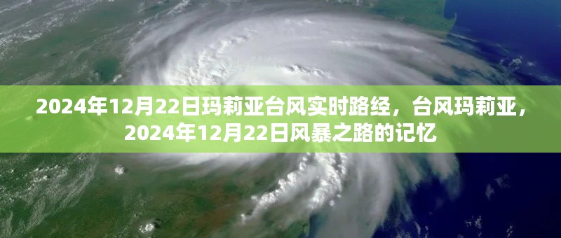 臺風瑪莉亞2024年12月22日實時路徑追蹤，風暴之路的記憶
