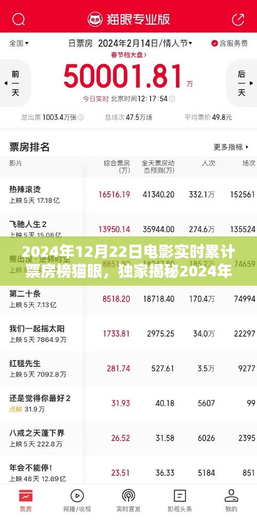 獨家揭秘，2024年12月22日電影實時累計票房榜貓眼，數(shù)據(jù)見證爆款電影的奇跡！