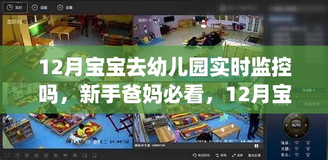 12月寶寶入園實時監(jiān)控操作指南，新手爸媽必看的實時監(jiān)控指南