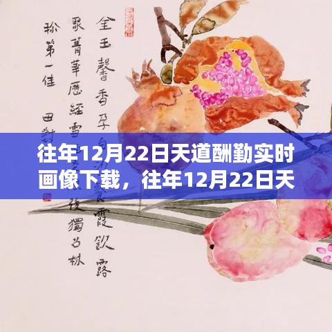 往年12月22日天道酬勤實時畫像，勤奮塑造輝煌瞬間