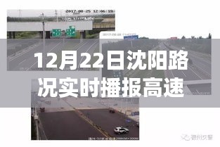 籠中之鳥(niǎo) 第3頁(yè)
