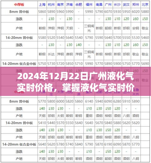 廣州液化氣實時價格指南，掌握查詢技巧，初學者與進階用戶必備知識（2024年12月22日）