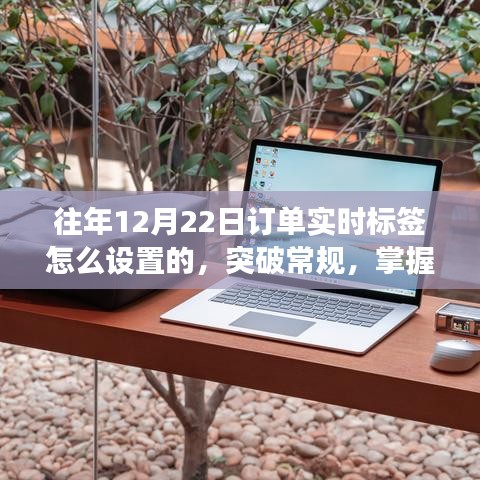 勵(lì)志之旅，突破常規(guī)，掌握新技能——如何在往年12月22日設(shè)置訂單實(shí)時(shí)標(biāo)簽的秘訣與經(jīng)驗(yàn)分享