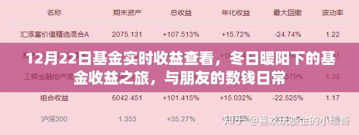 冬日暖陽下的基金收益之旅，實時查看基金收益與分享數(shù)錢日常
