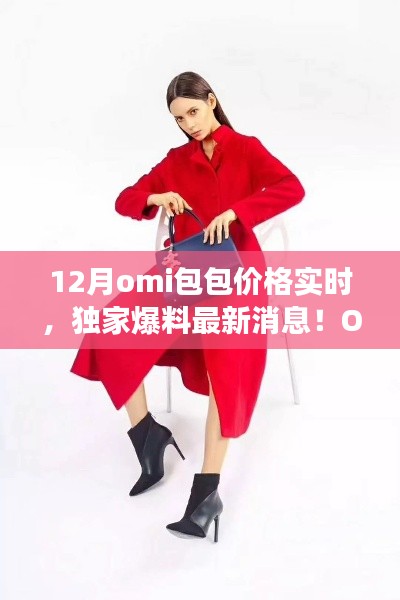 獨(dú)家爆料，Omi包包12月價(jià)格走勢(shì)揭秘，時(shí)尚女神必備之選！