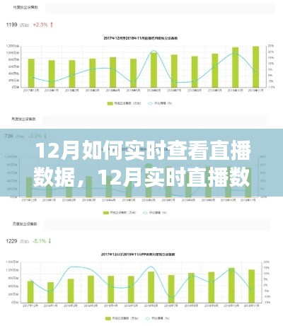 瑞雪紛飛