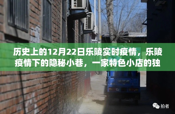 樂陵疫情下的隱秘小巷，特色小店的獨特故事與實時疫情回顧