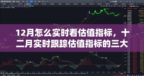 十二月實(shí)時(shí)跟蹤估值指標(biāo)的三大要點(diǎn)與策略，如何準(zhǔn)確進(jìn)行實(shí)時(shí)估值指標(biāo)觀察