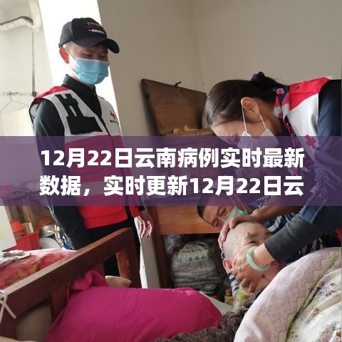 云南疫情實時更新，最新數(shù)據(jù)解析與科學防控助力抗疫