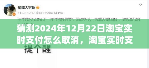淘寶實時支付取消功能預(yù)測，操作指南、功能詳解與未來展望（猜測至2024年12月）