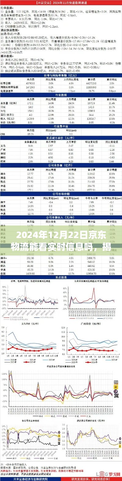 揭秘京東物流未來實時追蹤功能，能否洞悉物流每一步動態(tài)至2024年12月22日？