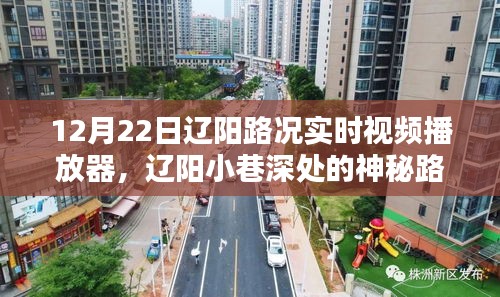 遼陽(yáng)小巷深處的路況實(shí)時(shí)視頻體驗(yàn)館，探索獨(dú)特魅力的極致體驗(yàn)
