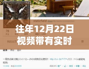 往年12月22日視頻熱點深度解讀，實時趨勢下的產(chǎn)品特性、用戶體驗與目標(biāo)用戶評析