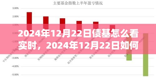 步步為贏策略指南，解讀債基市場動態(tài)與實時查看債基走勢的實用指南（2024年12月22日）