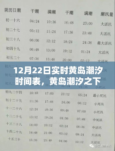 黃島潮汐時間表揭秘，隱秘寶藏與特色小店的潮汐之旅