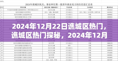 譙城區(qū)熱門探秘，2024年12月22日精彩瞬間