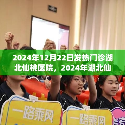 湖北仙桃醫(yī)院發(fā)熱門(mén)診就診指南，初學(xué)者與進(jìn)階用戶(hù)適用（2024年）