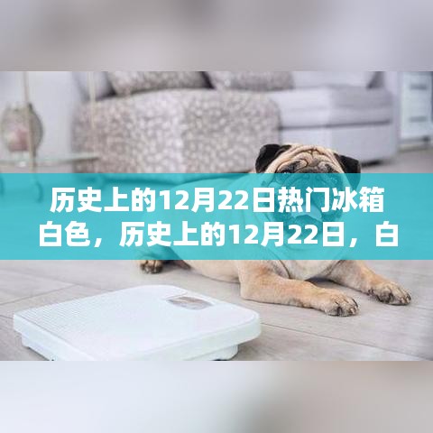 歷史上的12月22日，白色冰箱的熱潮及其影響回顧