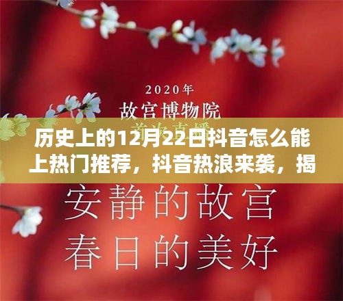 揭秘十二月二十二日抖音熱門傳奇，歷史背后的成功秘訣與熱浪來襲的啟示