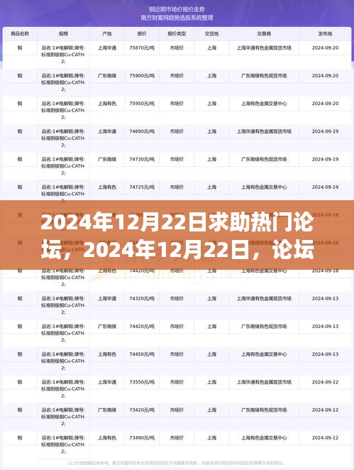 暖心故事集結(jié)論壇，友情、困境與家的溫暖在2024年12月22日的論壇求助