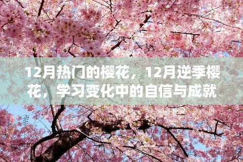 展翅高飛 第3頁